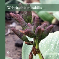 Welwitschia mirabilis - Librerie.coop