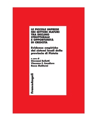 Le piccole imprese nei settori maturi tra declino strutturale e opportunità di crescita. Evidenze empiriche dai sistemi locali della provincia di Pistoia - Librerie.coop