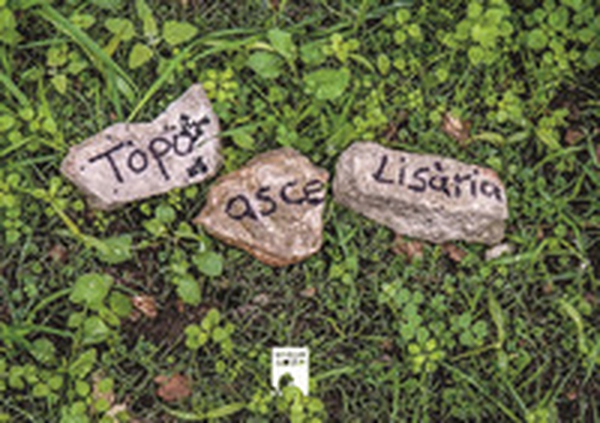 Tòpo asce lisària. Luogo di pietre - Librerie.coop Tòpo asce lisària. Luogo di pietre - Librerie.coop