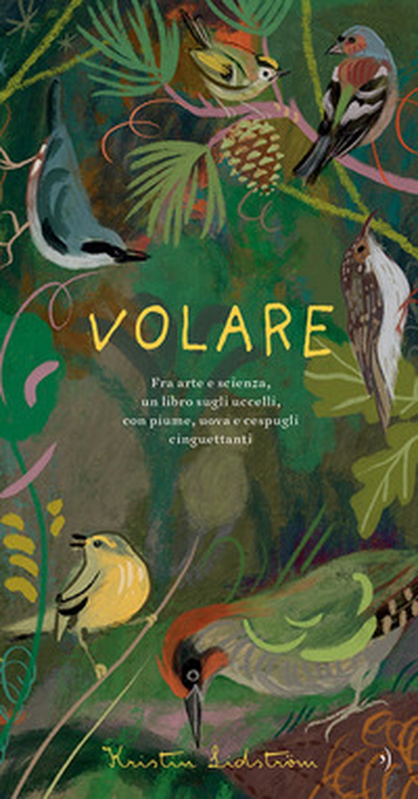 Volare - Librerie.coop