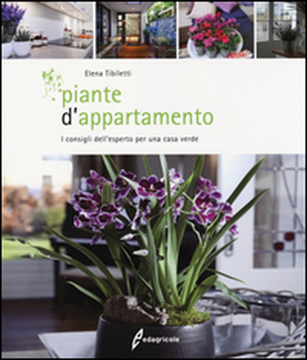 Piante d'appartamento. I consigli dell'esperto per una casa verde - Librerie.coop Piante d'appartamento. I consigli dell'esperto per una casa verde - Librerie.coop
