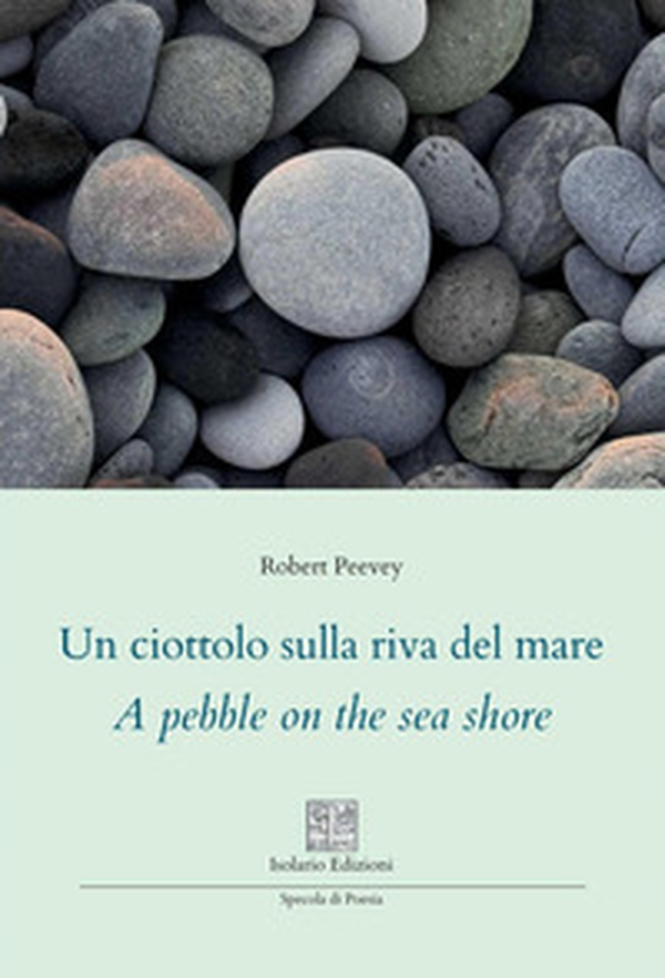 Un ciottolo sulla riva del mare. A pebble on the sea shore - Librerie.coop
