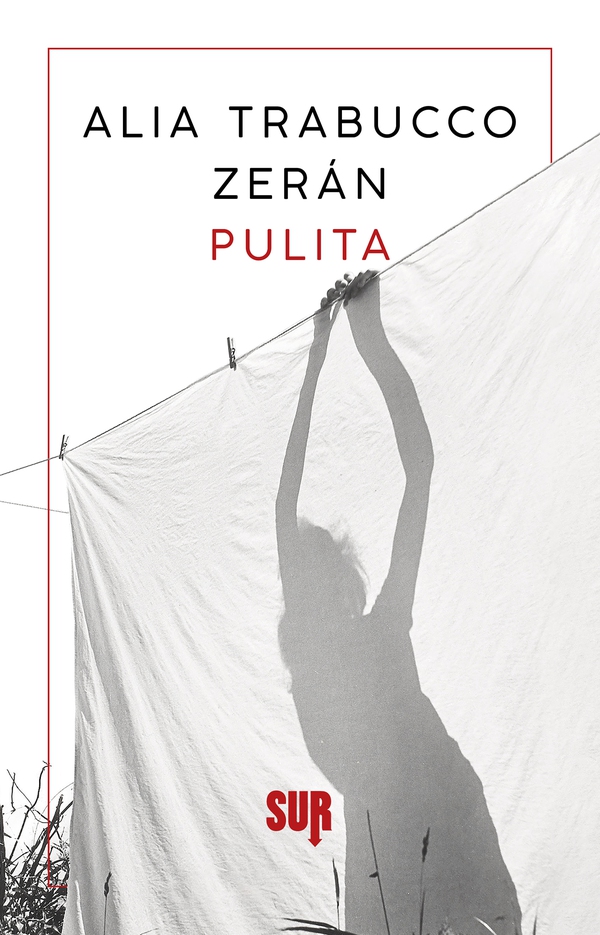 Pulita - Librerie.coop Pulita - Librerie.coop