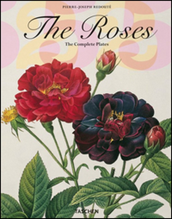 Roses. Ediz. italiana - Librerie.coop
