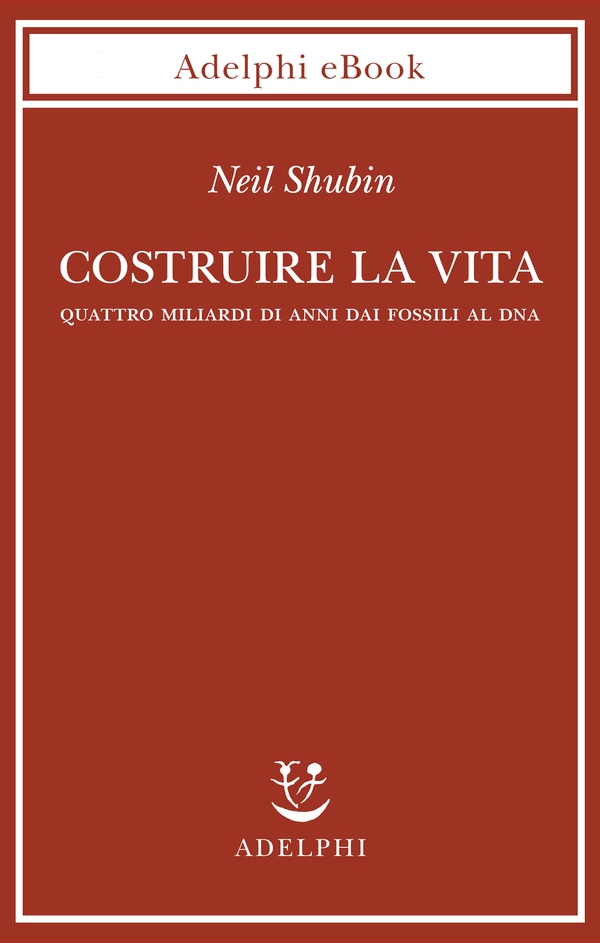 Costruire la vita - Librerie.coop Costruire la vita - Librerie.coop