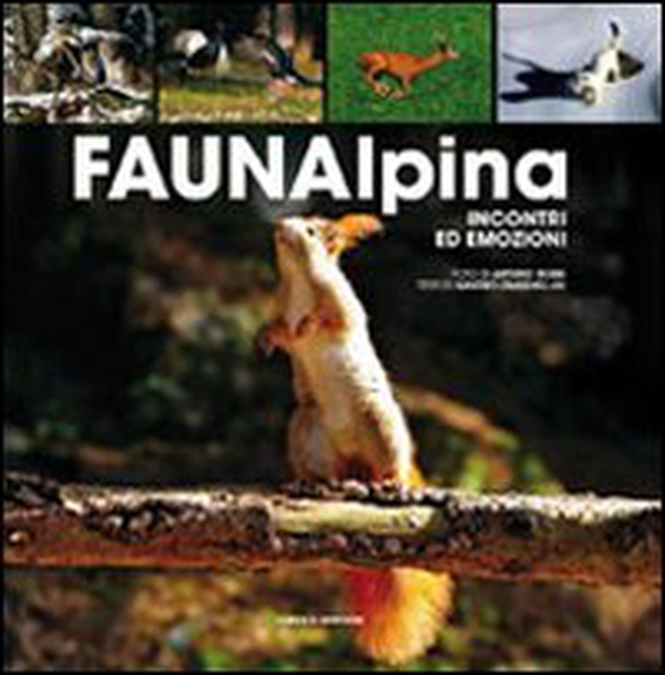 Fauna alpina. Incontri ed emozioni - Librerie.coop Fauna alpina. Incontri ed emozioni - Librerie.coop