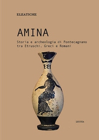 Amina. Storia e archeologia di Pontecagnano tra etruschi, greci e romani - Librerie.coop