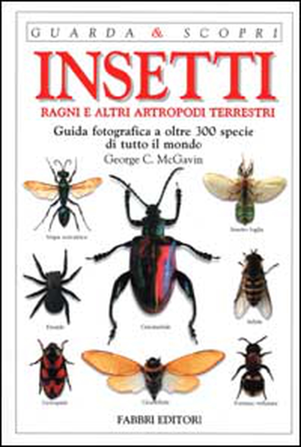 Insetti, ragni e altri artropodi terrestri. Guida fotografica a oltre 300 specie di tutto il mondo - Librerie.coop Insetti, ragni e altri artropodi terrestri. Guida fotografica a oltre 300 specie di tutto il mondo - Librerie.coop