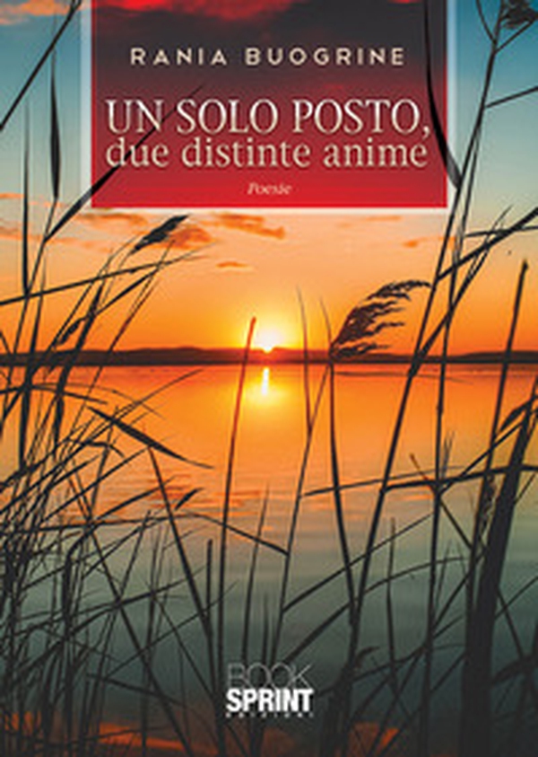 Un solo posto, due distinte anime - Librerie.coop Un solo posto, due distinte anime - Librerie.coop
