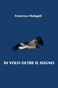 IN VOLO OLTRE IL SOGNO - Librerie.coop