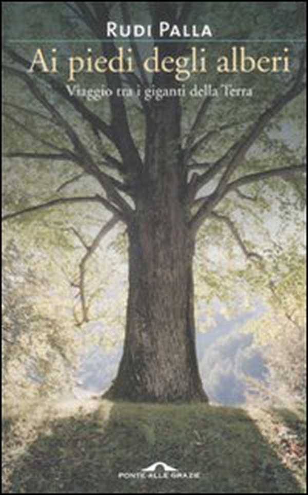 Ai piedi degli alberi. Viaggio tra i giganti della Terra - Librerie.coop Ai piedi degli alberi. Viaggio tra i giganti della Terra - Librerie.coop