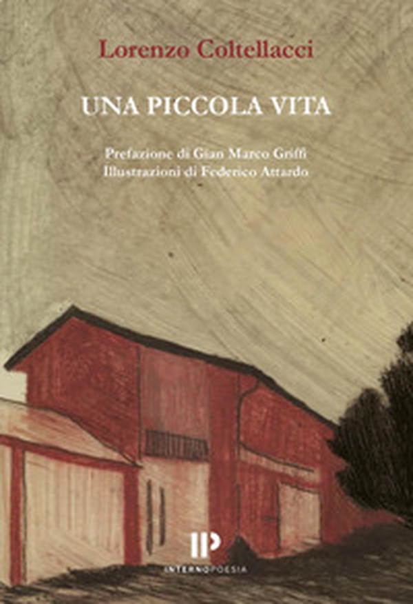 Una piccola vita - Librerie.coop