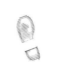 Map to the star. Ediz. italiana e inglese - Librerie.coop