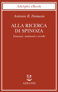 Alla ricerca di Spinoza - Librerie.coop