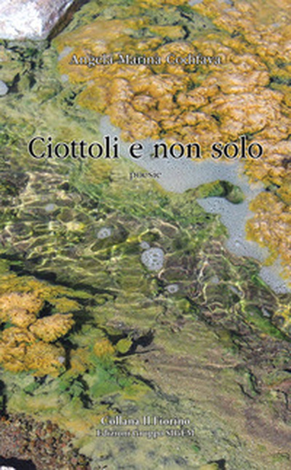 Ciottoli e non solo - Librerie.coop Ciottoli e non solo - Librerie.coop