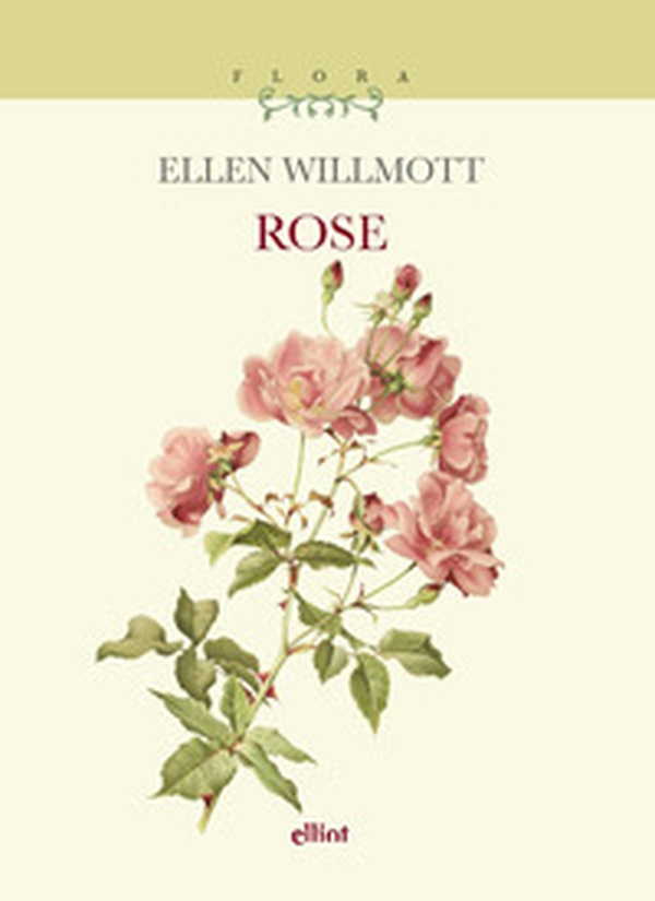 Rose - Librerie.coop Rose - Librerie.coop