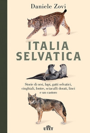 Italia selvatica. Storie di orsi, lupi, gatti selvatici, cinghiali, lontre, sciacalli dorati, linci e un castoro - Librerie.coop