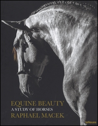 Equine beauty. A study of horses - Librerie.coop