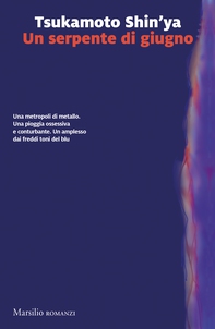 Un serpente di giugno - Librerie.coop