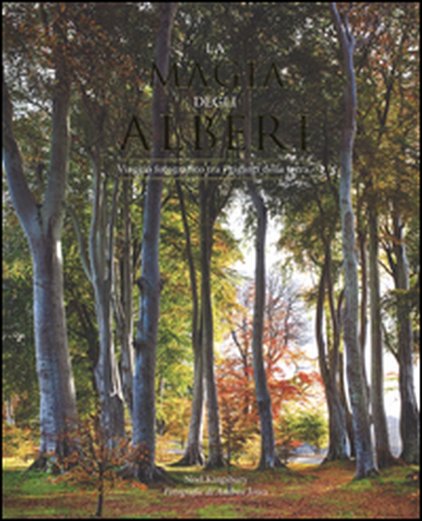 La magia degli alberi. Viaggio fotografico tra i giganti della terra - Librerie.coop La magia degli alberi. Viaggio fotografico tra i giganti della terra - Librerie.coop