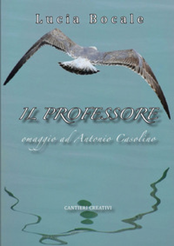 Il professore. Omaggio ad Antonio Casolino - Librerie.coop Il professore. Omaggio ad Antonio Casolino - Librerie.coop