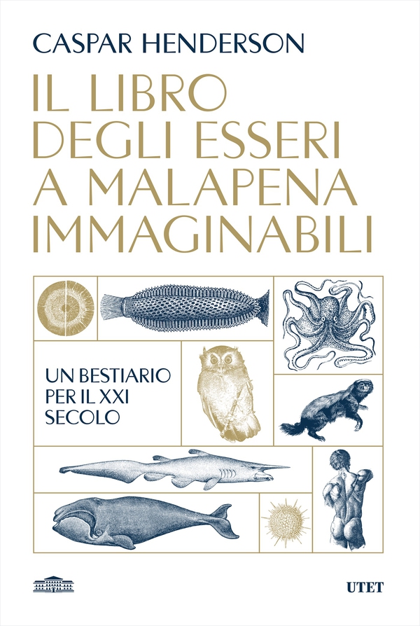Il libro degli esseri a malapena immaginabili - Librerie.coop