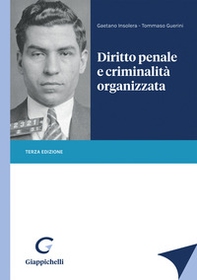 Diritto penale e criminalità organizzata - Librerie.coop