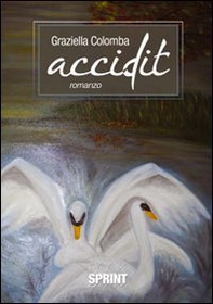 Accidit - Librerie.coop