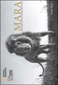 Mara. Incontri ravvicinati nel cuore della savana - Librerie.coop