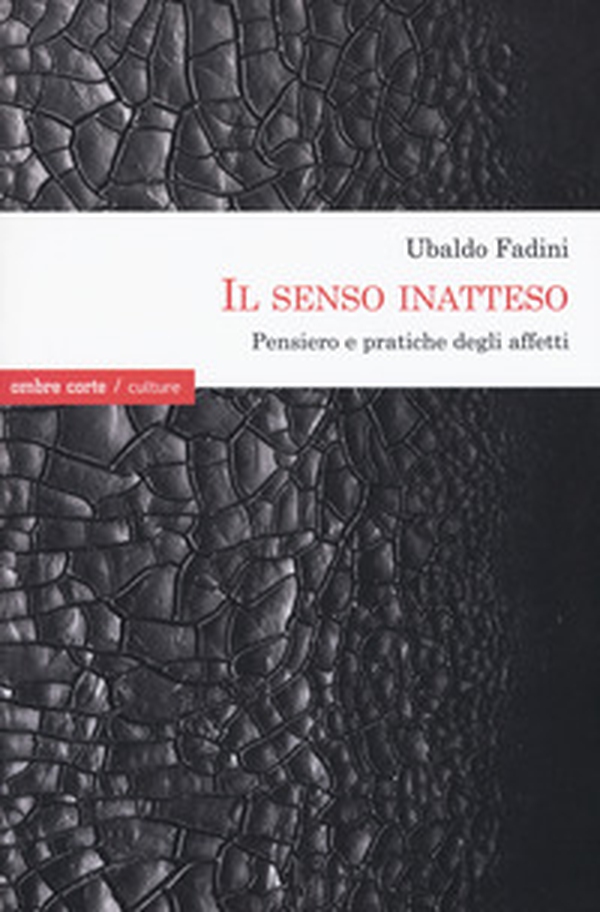 Il senso inatteso. Pensiero e pratiche degli affetti - Librerie.coop Il senso inatteso. Pensiero e pratiche degli affetti - Librerie.coop
