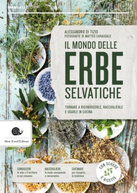 Il mondo delle erbe selvatiche. Tornare a riconoscerle, raccoglierle e usarle in cucina - Librerie.coop