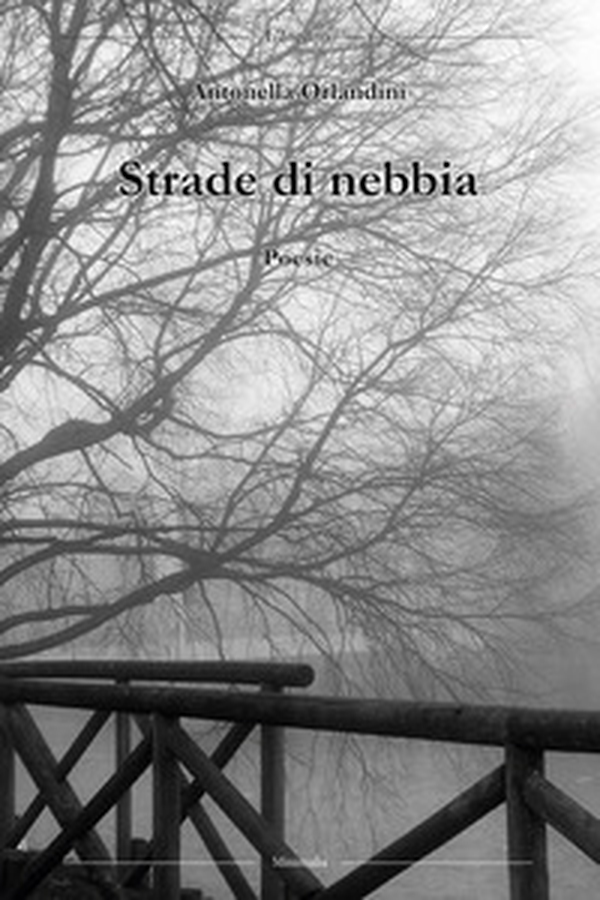 Strade di nebbia - Librerie.coop