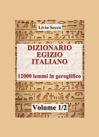 Dizionario egizio-italiano. 12000 lemmi in geroglifico - Vol. 1 - Librerie.coop