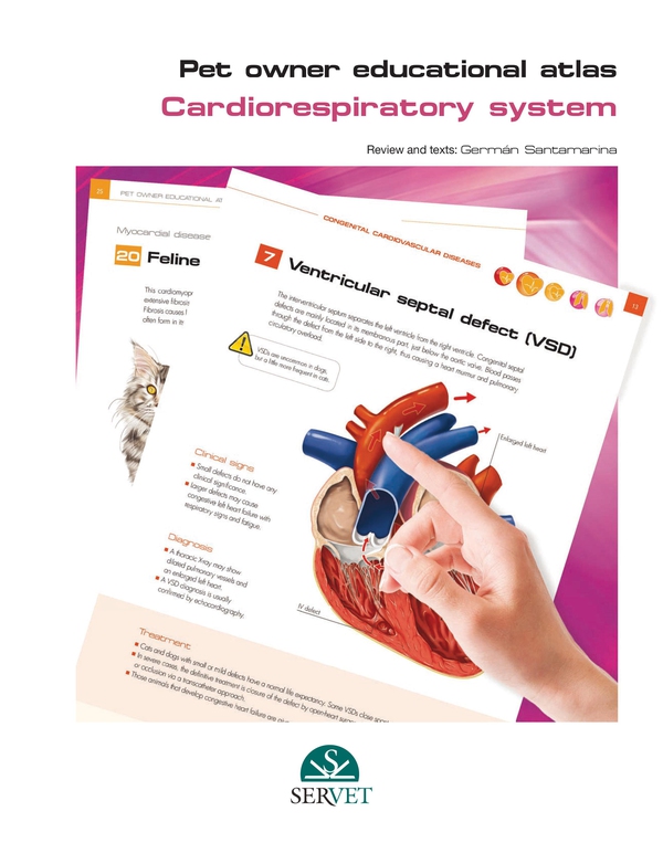 Pet Owner Educational Atlas. Cardiorespiratory System - Librerie.coop Pet Owner Educational Atlas. Cardiorespiratory System - Librerie.coop