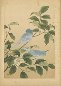 Statements on appropriation-Dichiarazioni sull'appropriazione - Librerie.coop