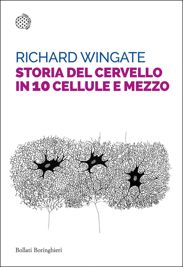 Storia del cervello in 10 cellule e mezzo - Librerie.coop