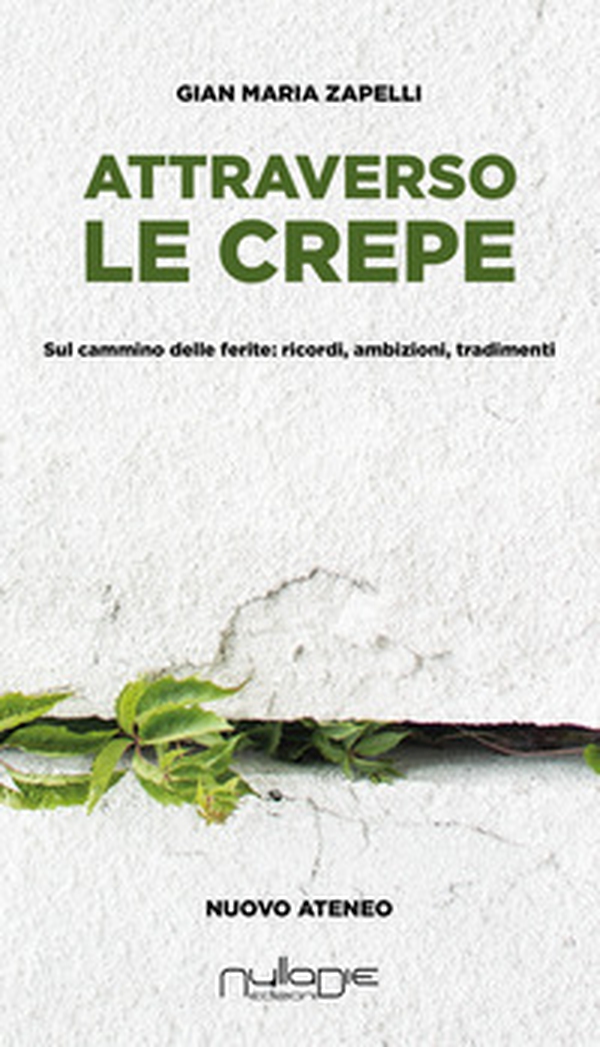 Attraverso le crepe. Sul cammino delle ferite: ricordi, ambizioni, tradimenti - Librerie.coop Attraverso le crepe. Sul cammino delle ferite: ricordi, ambizioni, tradimenti - Librerie.coop