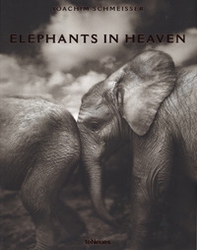 Elephants in heaven. Ediz. inglese, francese e tedesca - Librerie.coop