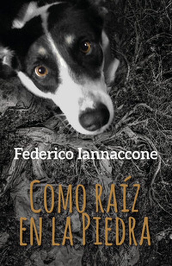 Como raíz en la piedra - Librerie.coop Como raíz en la piedra - Librerie.coop