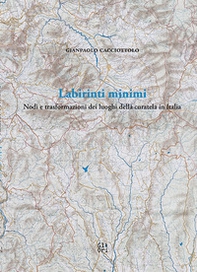 Labirinti minimi. Nodi e trasformazioni dei luoghi della curatela in Italia - Librerie.coop