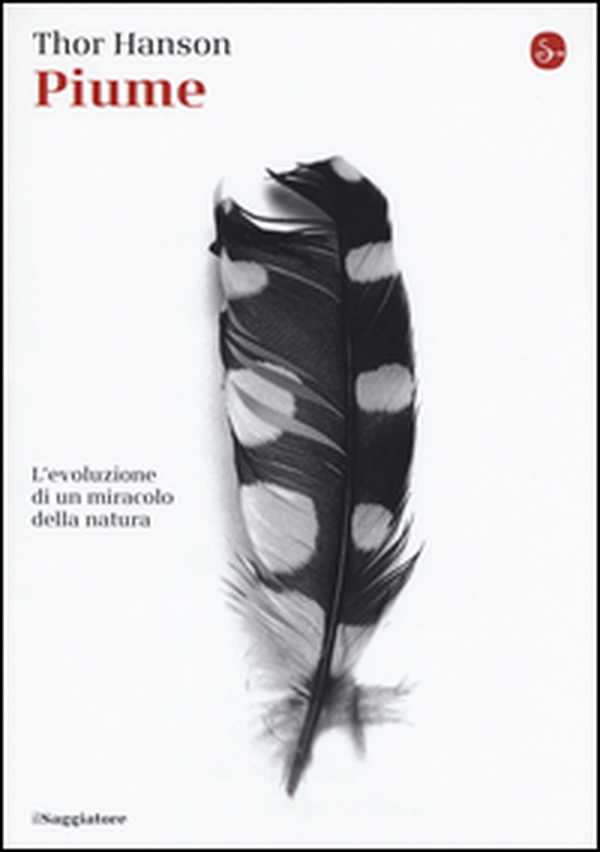 Piume. L'evoluzione di un miracolo della natura - Librerie.coop Piume. L'evoluzione di un miracolo della natura - Librerie.coop