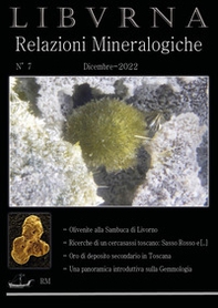 Relazioni mineralogiche. Libvrna - Vol. 7 - Librerie.coop