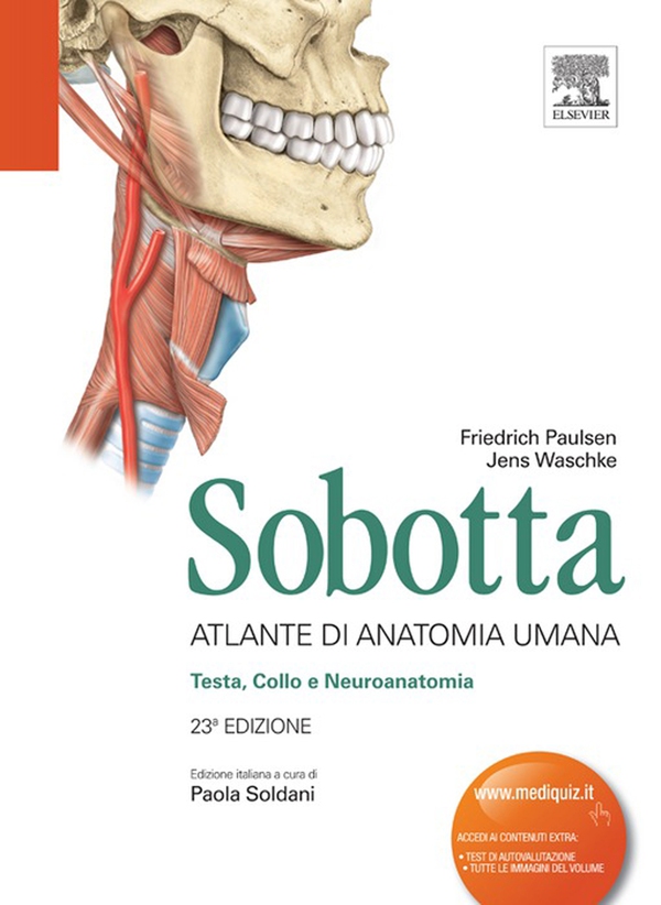 Sobotta - Atlante di Anatomia Umana: Testa, Collo e Neuroanatomia - Librerie.coop Sobotta - Atlante di Anatomia Umana: Testa, Collo e Neuroanatomia - Librerie.coop