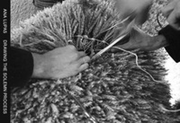Drawing the solemn process - Librerie.coop Drawing the solemn process - Librerie.coop
