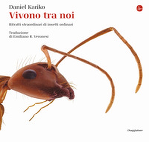 Vivono tra noi. Ritratti straordinari di insetti ordinari - Librerie.coop Vivono tra noi. Ritratti straordinari di insetti ordinari - Librerie.coop