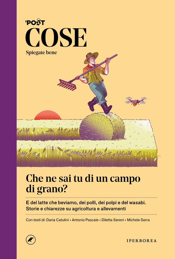COSE Spiegate bene - Che ne sai tu di un campo di grano? - Librerie.coop