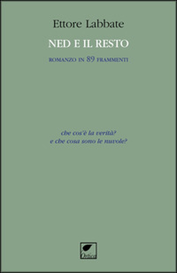 Ned e il resto. Romanzo in 89 frammenti - Librerie.coop