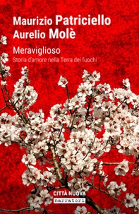 Meraviglioso. Storia d'amore nella «terra dei fuochi» - Librerie.coop