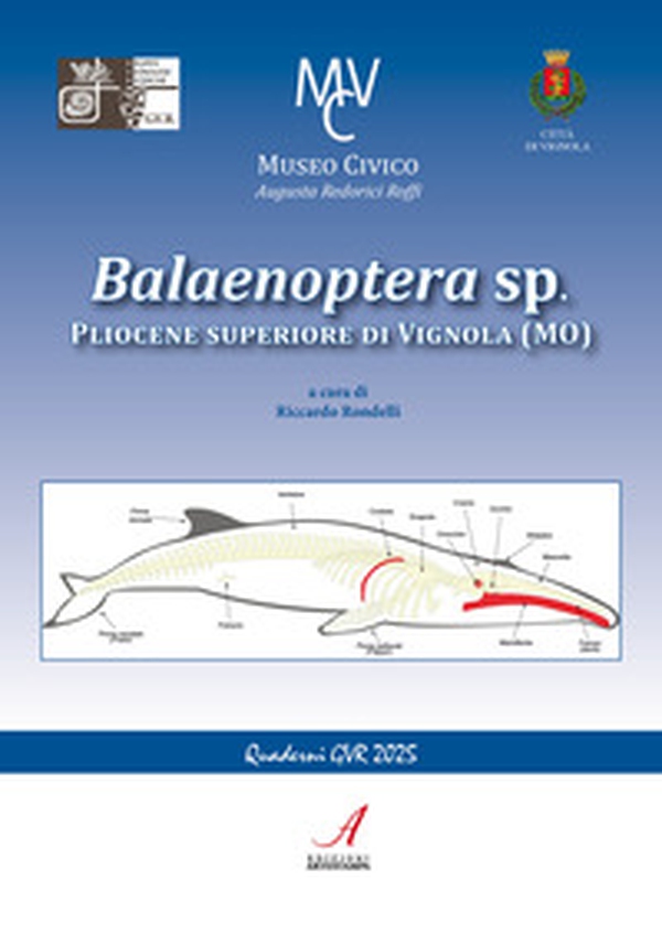 Balaenoptera sp. Pliocene superiore di Vignola (MO) - Librerie.coop Balaenoptera sp. Pliocene superiore di Vignola (MO) - Librerie.coop