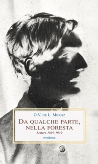 Da qualche parte, nella foresta. Lettere 1897-1939 - Librerie.coop